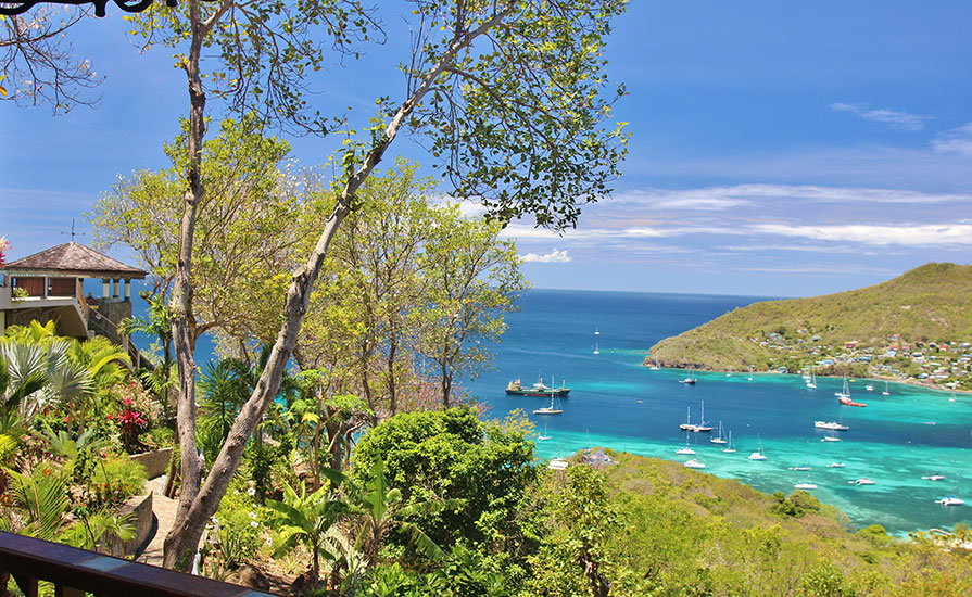 Palm Cottage Gallery | Tropical Hideaway Bequia